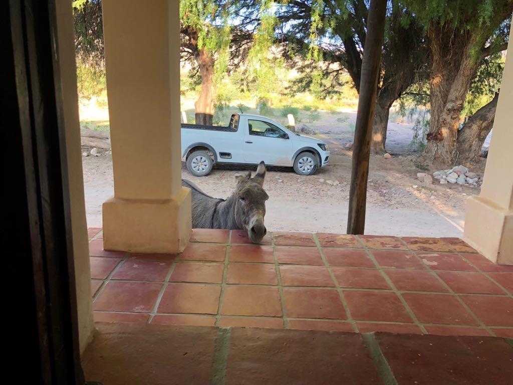 La Enramada Hotel Seclantas Luaran gambar
